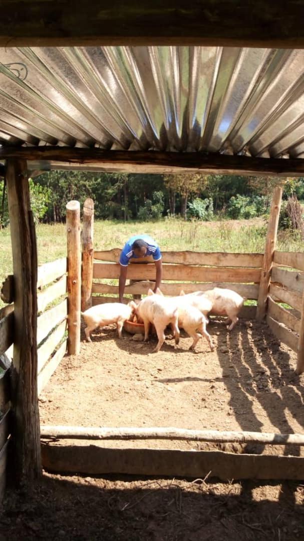 RubuguliKarungi Camp别墅 外观 照片
